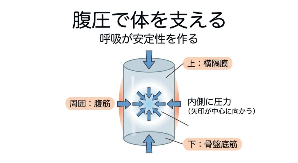 腹圧による体幹の安定｜横隔膜と腹筋と骨盤底筋の関係