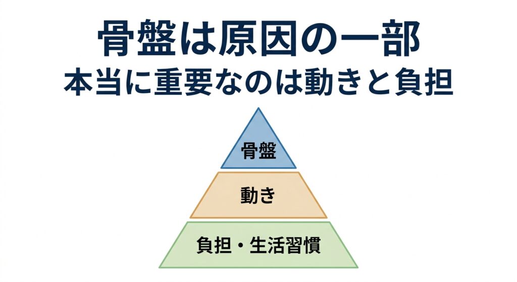 腰痛の原因構造｜骨盤・動き・負担の関係を示した図