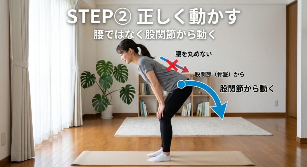 腰を反ると痛い原因の改善方法｜股関節から動く正しい動作（ヒップヒンジ）のやり方