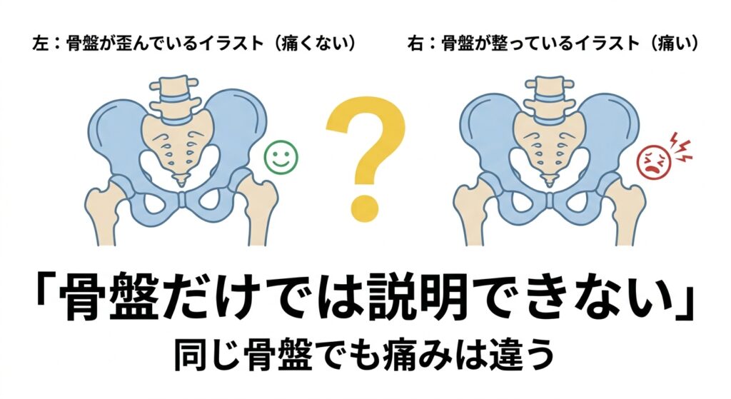 骨盤の歪みだけでは腰痛は説明できない｜同じ骨盤でも痛みが違う理由
