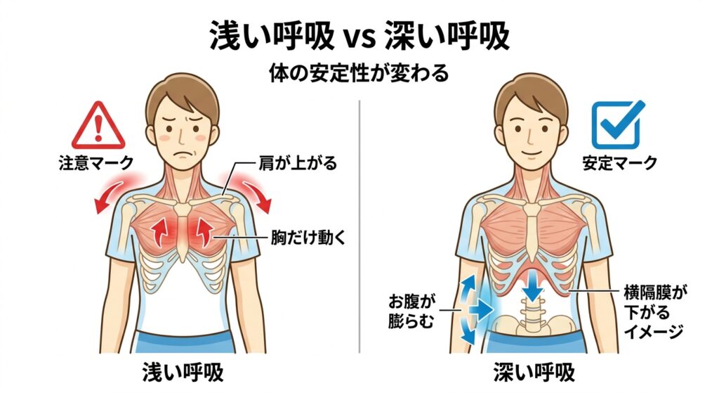 浅い呼吸と深い呼吸の違い｜体幹の安定性と腰痛の関係