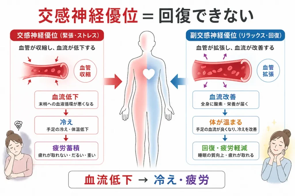 自律神経の乱れによる血流低下と冷え・慢性疲労の仕組み図