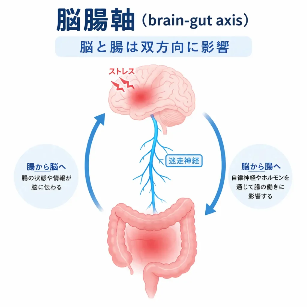 脳腸軸の仕組みを示した図解