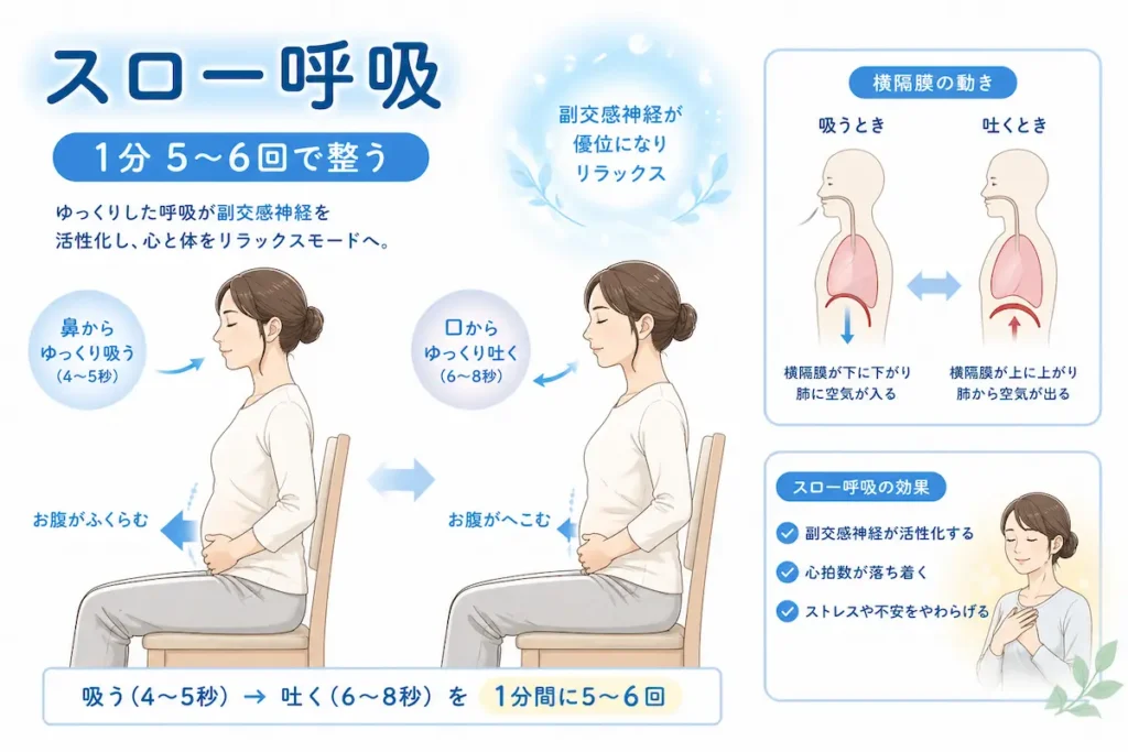 スロー呼吸で副交感神経を整える方法