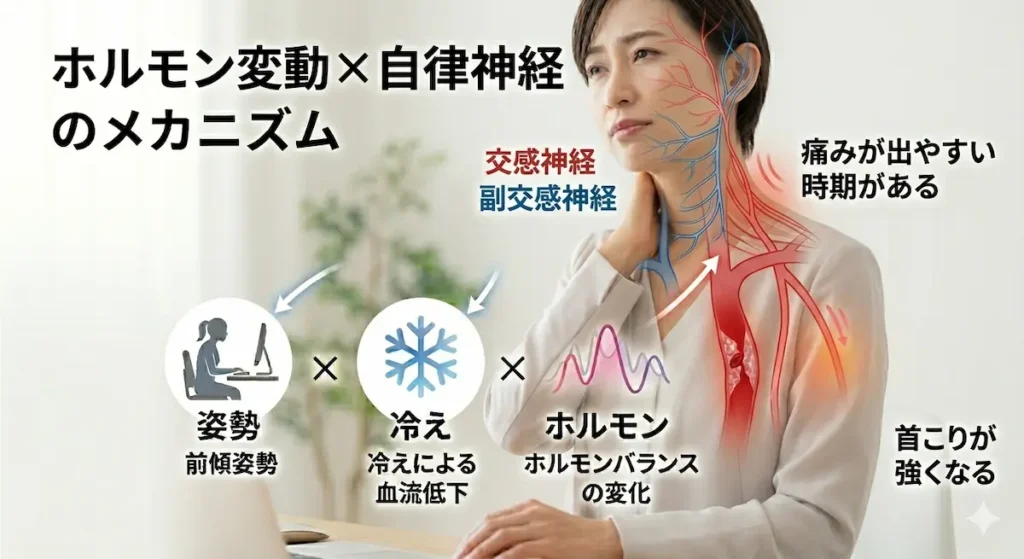ホルモンバランスと自律神経が首こりに影響する女性の図