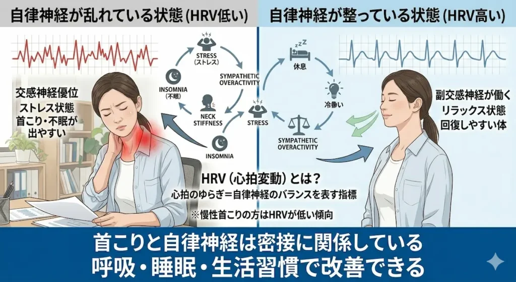 HRV（心拍変動）と自律神経の関係を示した図解 首こりとの関連