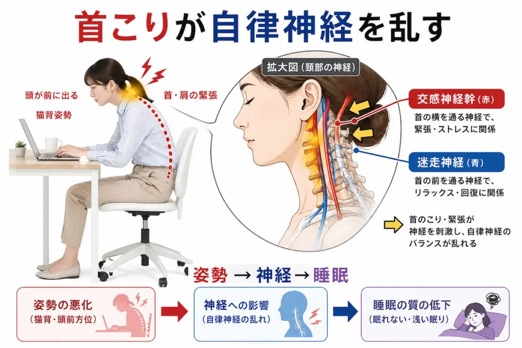 首こりと自律神経の関係を示したイラスト