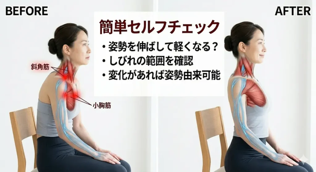 姿勢を伸ばすことで手のしびれが変化するかを確認するセルフチェック方法