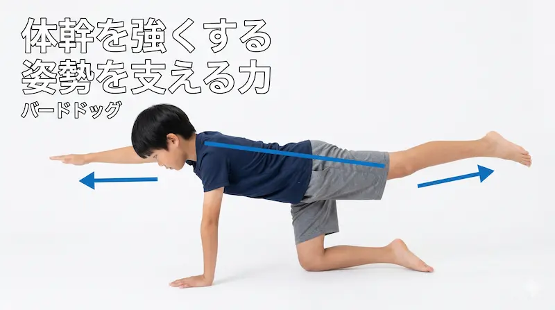 バードドッグで体幹トレーニングをする小学生男児