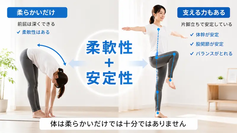 柔軟性だけでなく体幹や股関節の安定性も重要であることを示した比較図