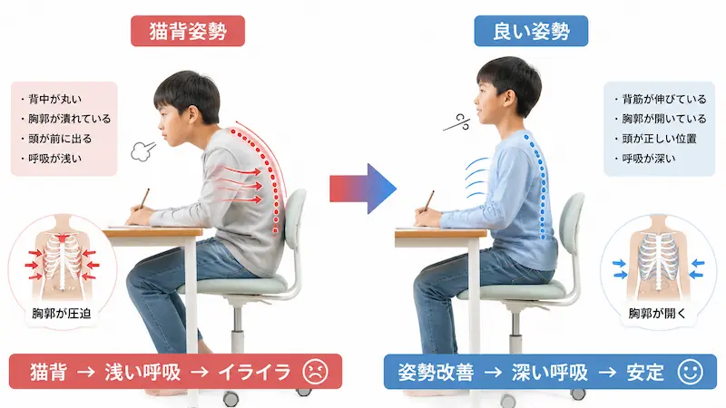 猫背による浅い呼吸と感情不安定の関係図