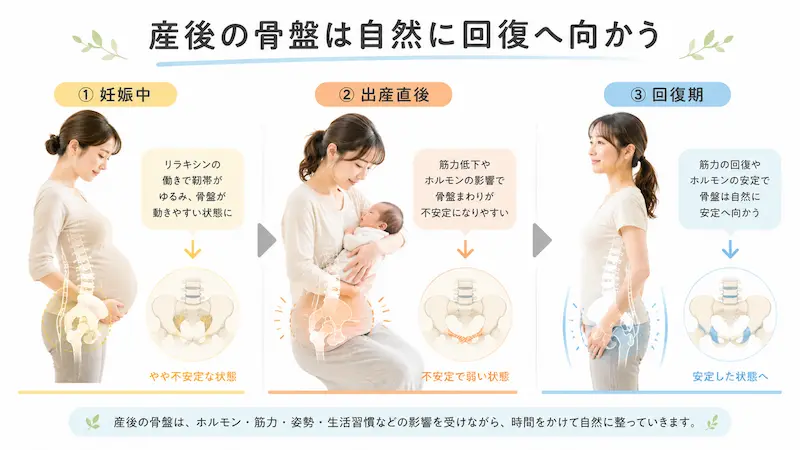 産後の骨盤が自然回復していく流れを示した図解