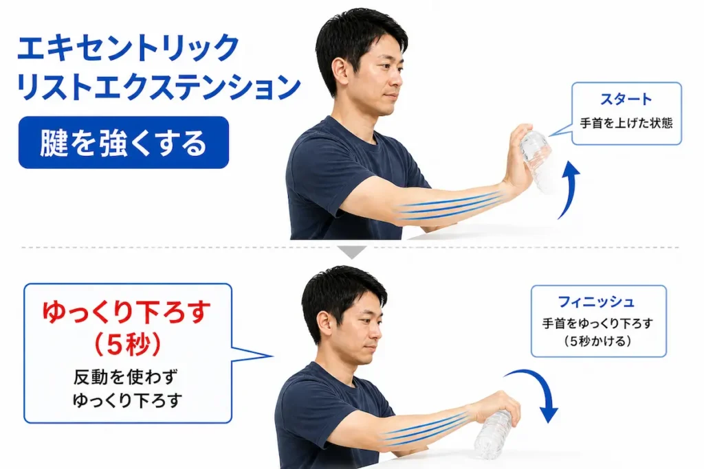 テニス肘の改善に有効なエキセントリックトレーニング（手首の運動）