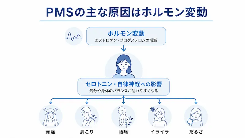 PMSの主な原因であるホルモン変動とセロトニン・自律神経への影響を示した図