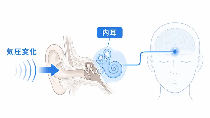 低気圧と内耳の関係を示す頭痛の仕組み図解