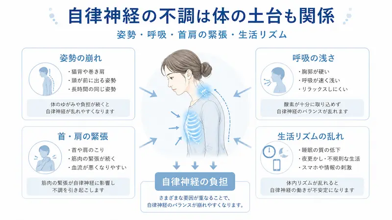 姿勢の崩れや呼吸の浅さ、首肩の緊張が自律神経の不調に関係するイメージ