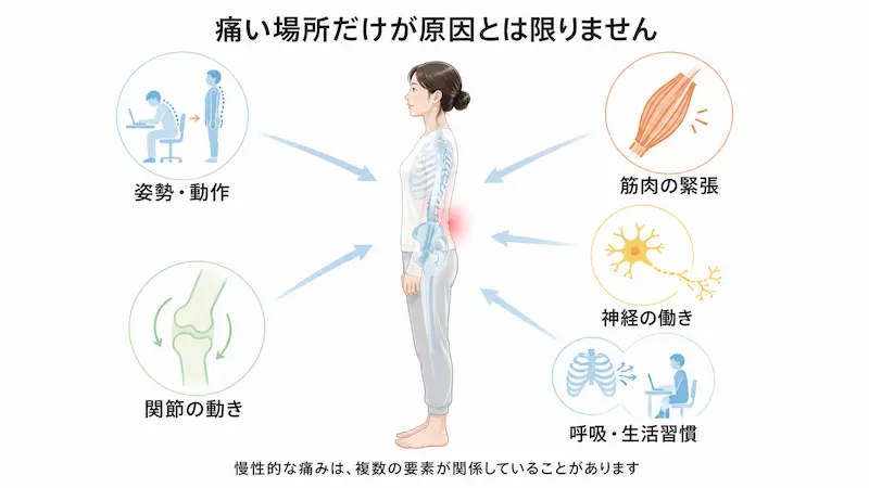 慢性的な痛みに姿勢・関節・筋肉・神経・呼吸や生活習慣が関係することを示した図