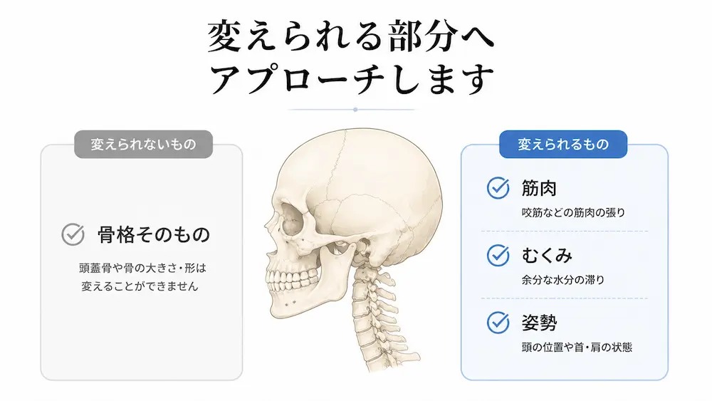 骨格と筋肉・むくみ・姿勢の違いを示した小顔整体の考え方