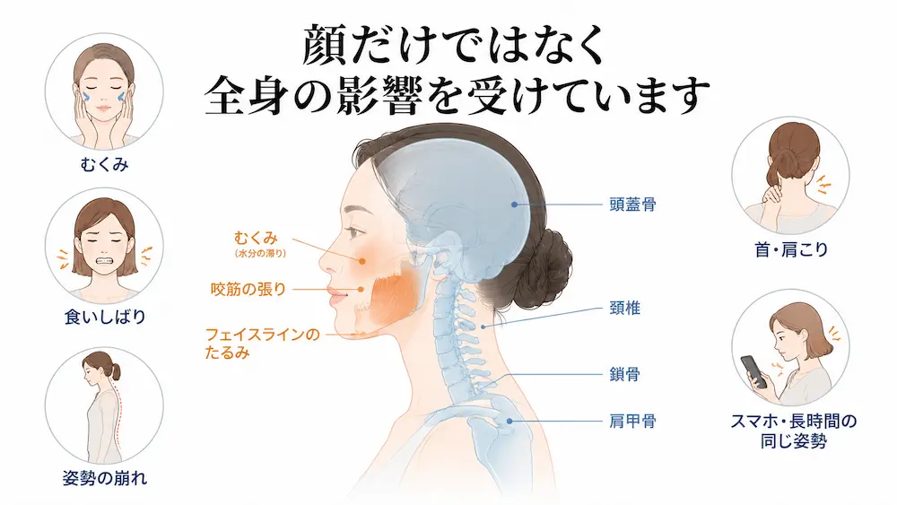 顔だけでなく首や姿勢など全身のバランスがフェイスラインの印象に関わるイメージ図