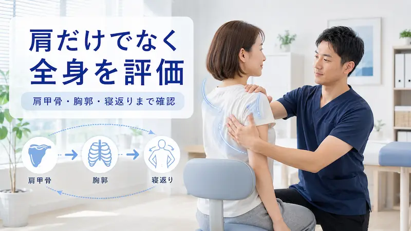 理学療法士が寝起きの肩の痛みに対して肩甲骨や胸郭の動きを評価している様子