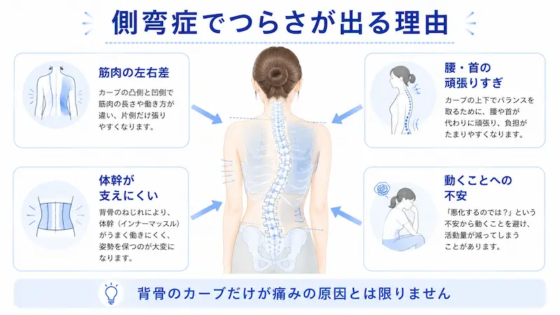 側弯症で筋肉の左右差や腰・首の負担が生じる理由を説明する図解