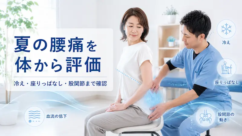 理学療法士が冷房や座りっぱなしによる腰の重だるさに対して姿勢や股関節の動きを評価している様子