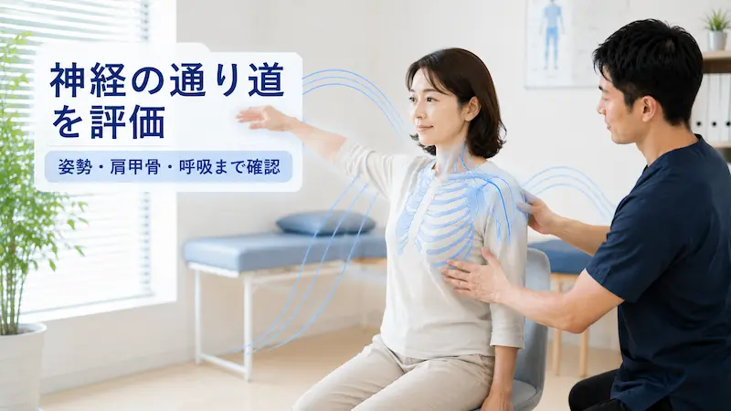 理学療法士が胸郭出口症候群に対して姿勢や肩甲骨、神経の通り道を評価している様子
