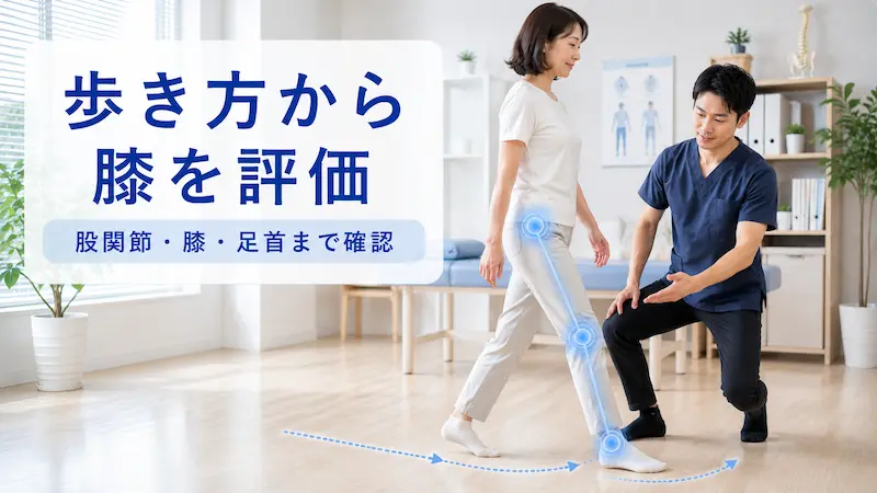 理学療法士が歩きすぎによる膝の痛みに対して歩き方や股関節、足首の動きを評価している様子