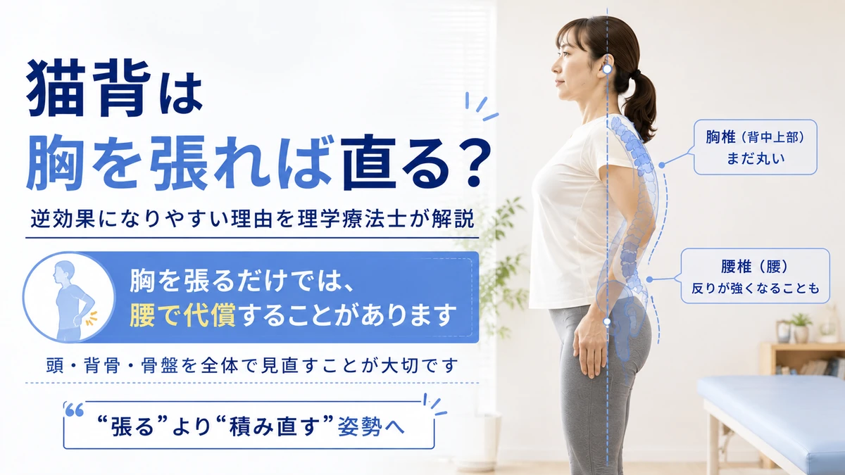 猫背を直そうと胸を張った時に腰で代償することがある仕組みを示した画像