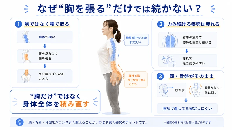 猫背を胸を張って直そうとすると腰の反りや筋肉の緊張で続きにくくなる理由の図解