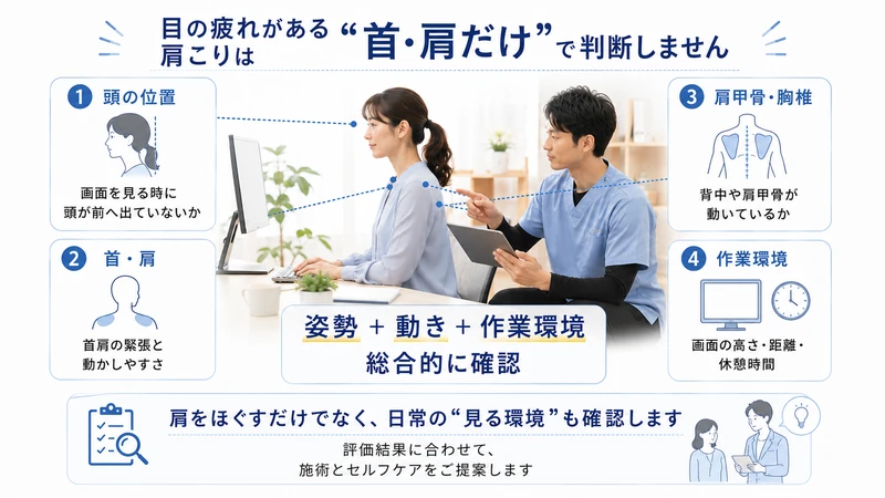 目の疲れを伴う肩こりに対して頭の位置首肩肩甲骨胸椎作業環境を理学療法士が評価する図解