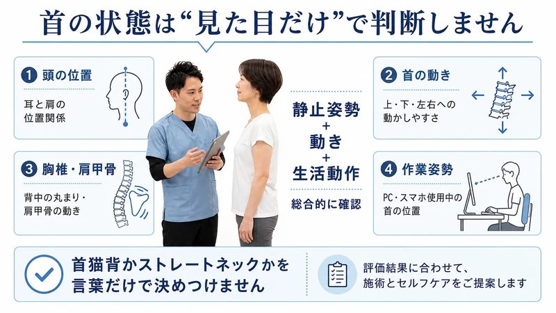 首猫背やストレートネックを頭の位置首の動き胸椎肩甲骨作業姿勢から総合的に評価する図解