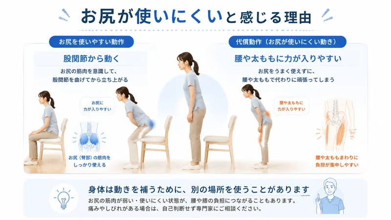 立ち上がり動作でお尻を使いやすい動きと腰や太ももで補う動きを比較した図解