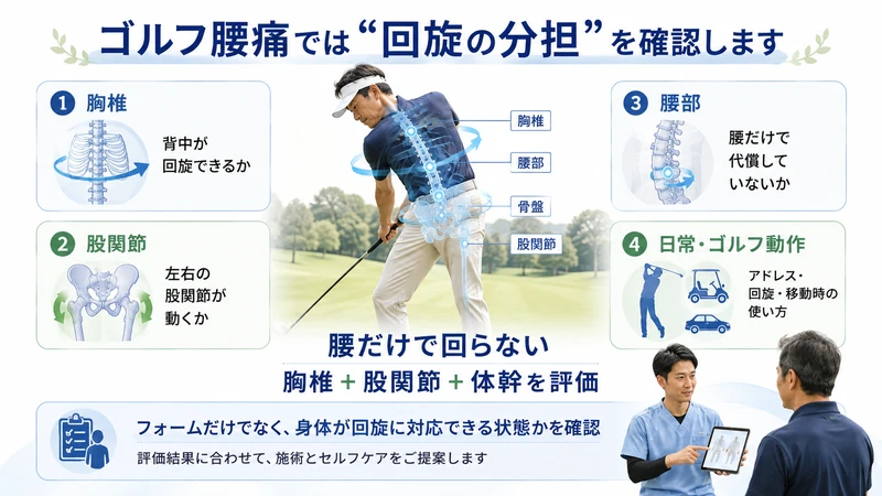 ゴルフ腰痛に対して胸椎股関節腰部の回旋動作を理学療法士が評価する図解