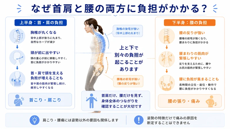 カイホロードシスで首肩と腰の両方に負担がかかる仕組みを示した図解