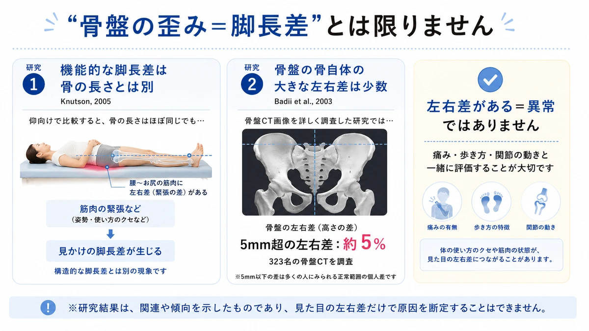 脚長差と骨盤の左右差についての研究データを示した医療教育図