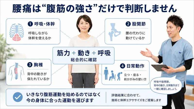 腰痛を腹筋の強さだけで判断せず呼吸体幹股関節胸椎日常動作を総合評価する図解