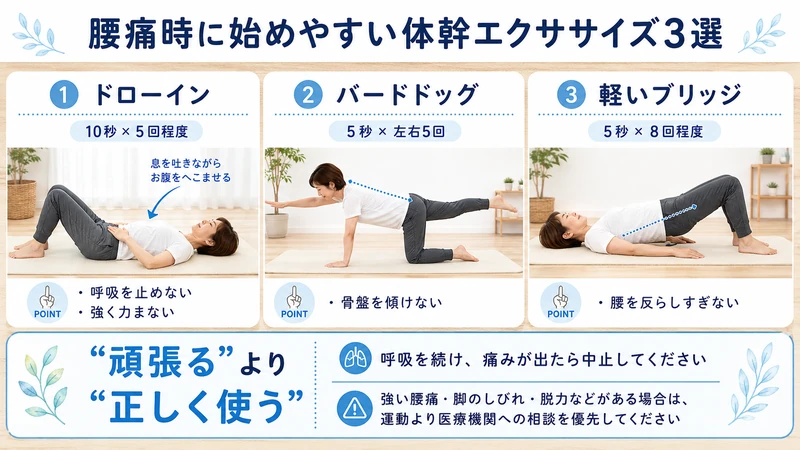 腰痛時に始めやすいドローインバードドッグ軽いブリッジの3つの体幹エクササイズ
