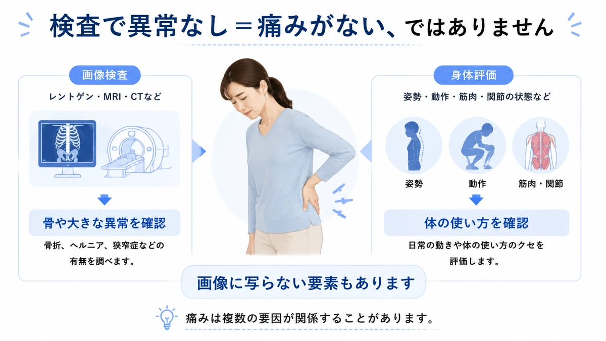 腰痛で画像検査に異常がなくても身体評価が重要であることを説明する医療教育画像