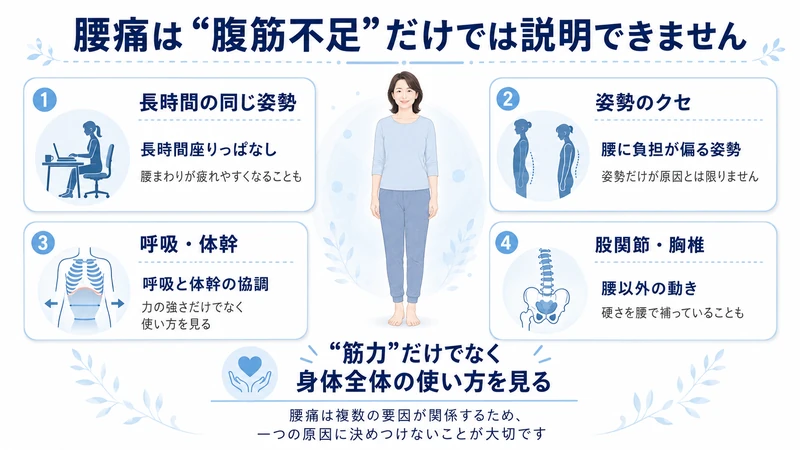 腰痛は腹筋不足だけでなく姿勢呼吸体幹股関節胸椎など複数の要因が関係することを示した図解