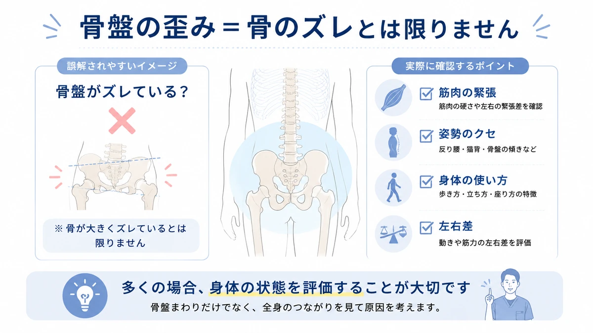 骨盤の歪みは骨のズレとは限らず筋肉や身体の使い方を確認する医療教育画像
