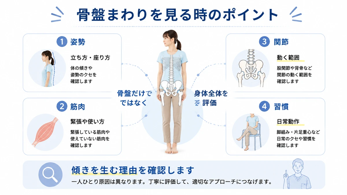 骨盤まわりを評価する姿勢筋肉関節習慣の4つのポイント