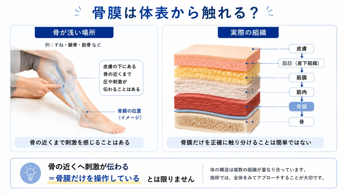 体表から骨膜までの組織を説明する図