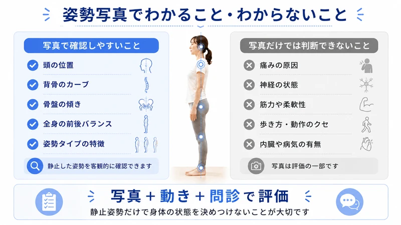 姿勢写真で確認しやすいことと写真だけでは判断できないことを比較した医療教育図解