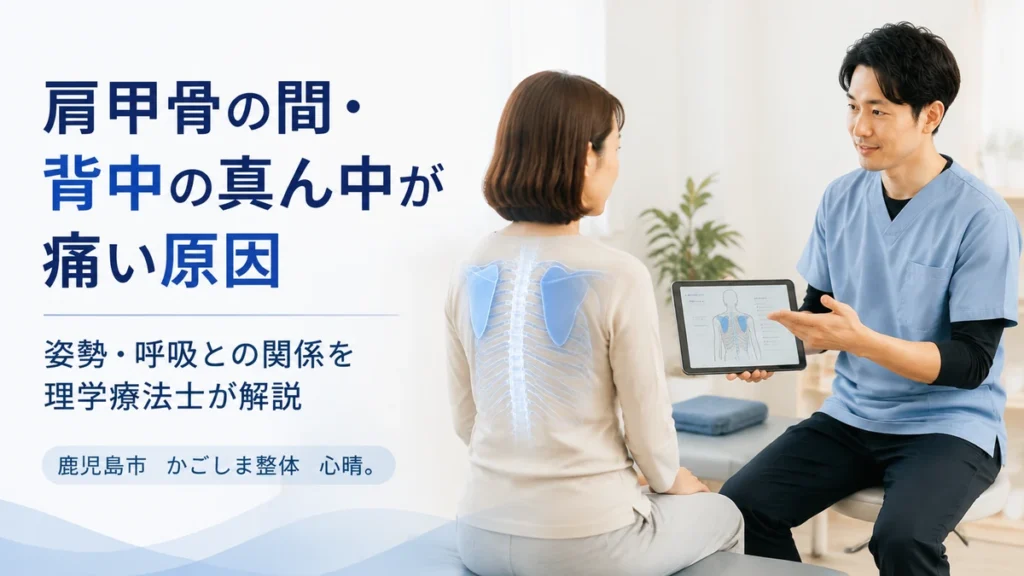 肩甲骨の間や背中の真ん中の痛みについて理学療法士が説明している様子