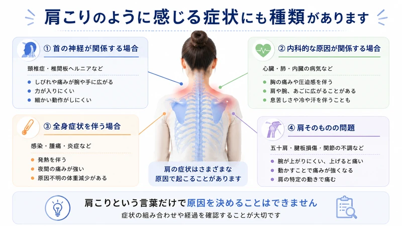 肩こりのような症状に関係する首の神経や内科的原因や肩関節の問題を整理した図解