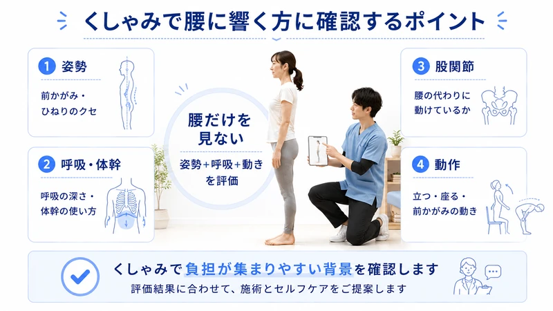 くしゃみで腰に響く方の姿勢呼吸体幹股関節動作を確認する評価ポイントの図解