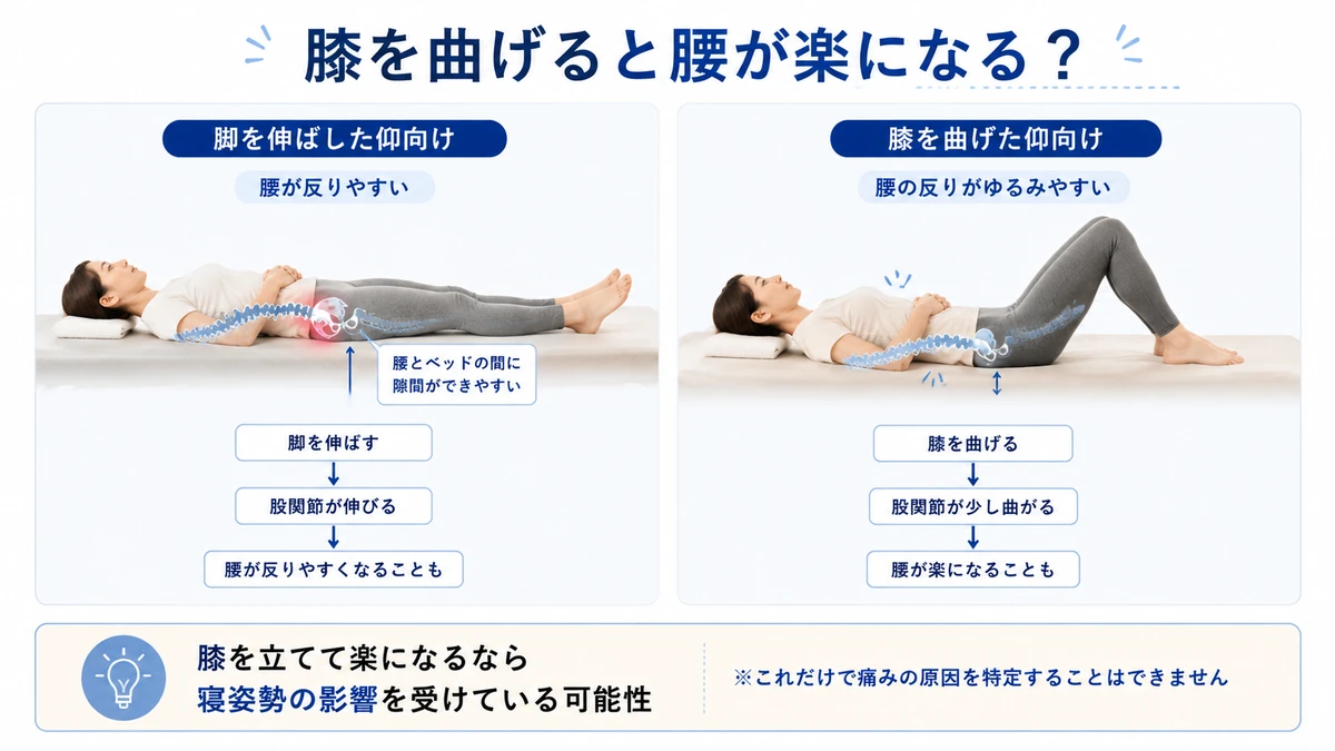 脚を伸ばした仰向けと膝を曲げた仰向けで腰の反りを比較した図