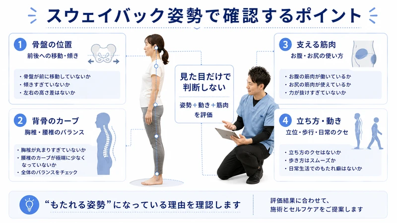 スウェイバック姿勢で確認する骨盤の位置や背骨のカーブや筋肉と立ち方の評価図解