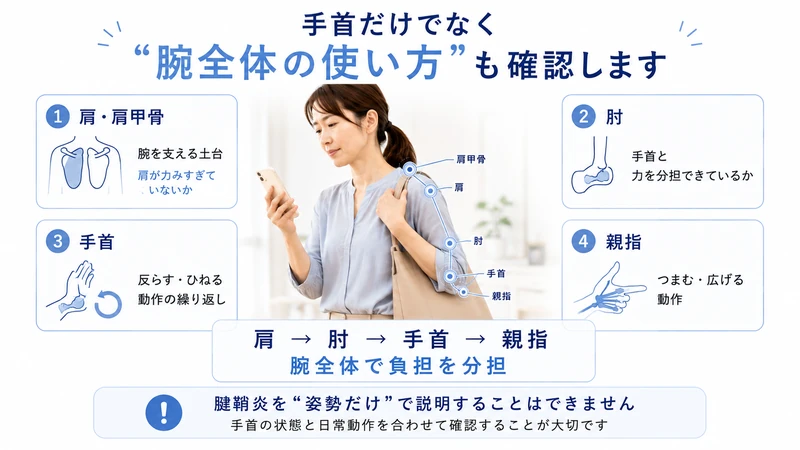 腱鞘炎で肩肘手首親指の使い方と負担の分担を確認する図解